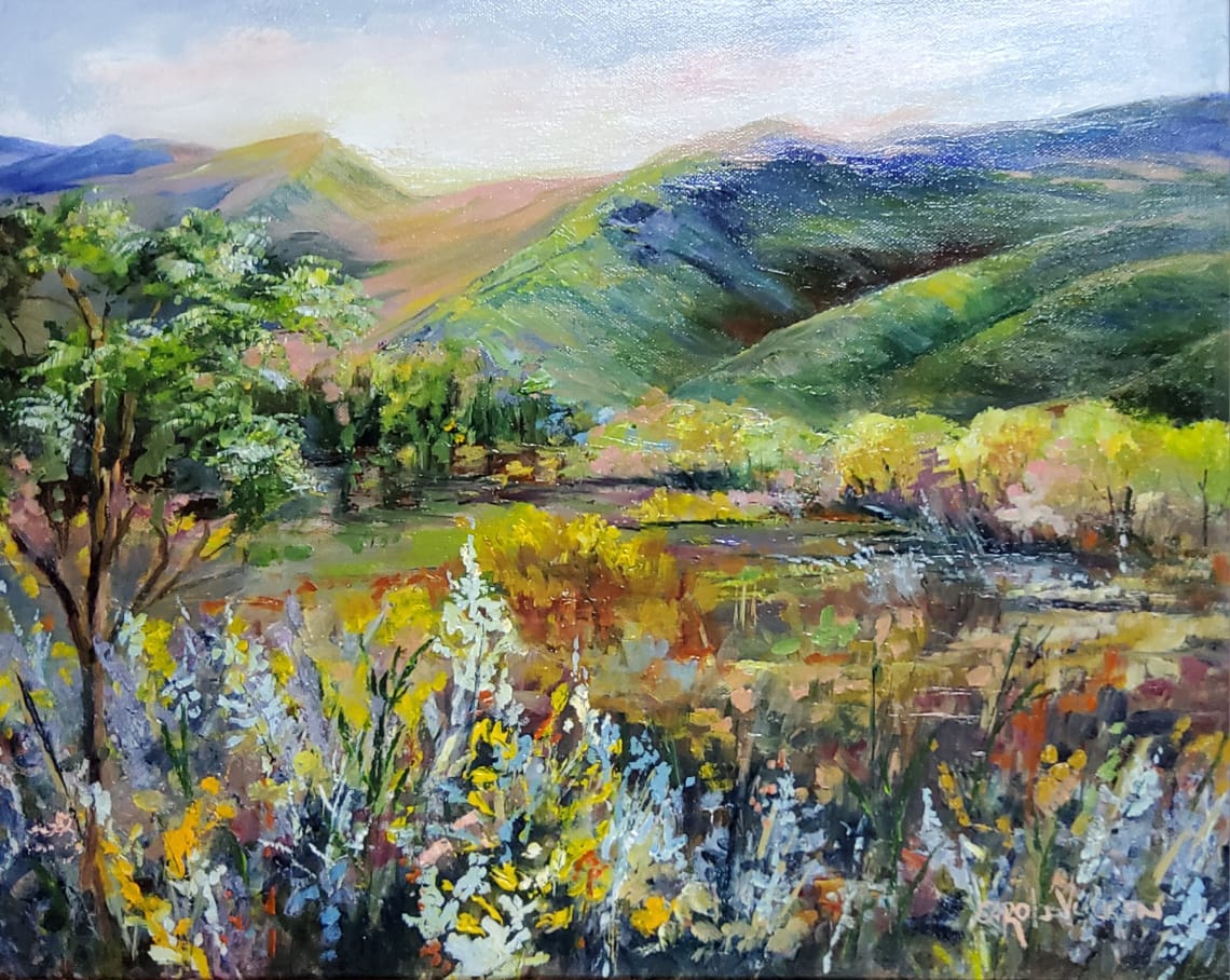 J-BAC 2025 - Adult Top 15 Finalist - Carol Janse van Vuuren - Langkloof Landscape