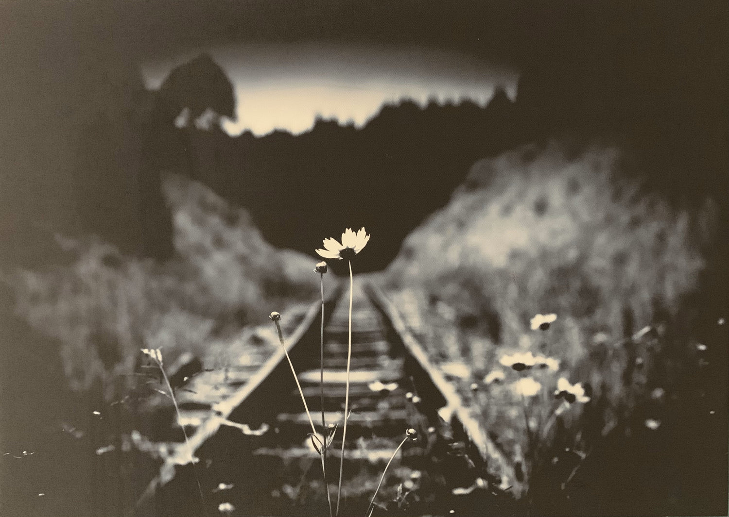 Original Photographic Prints